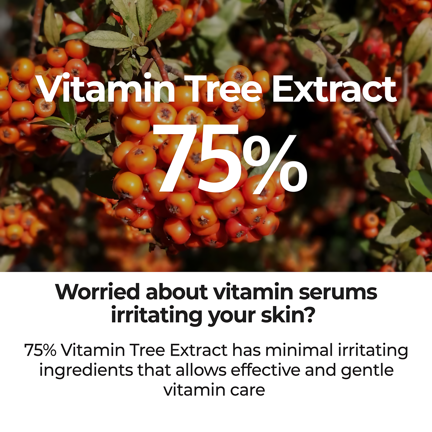 NUMBUZIN No.5 Serum, Goodbye Blemish Serum,For Acne Scars with Vitamin C, Niacinamide, Antioxidant, Lightweight Gel