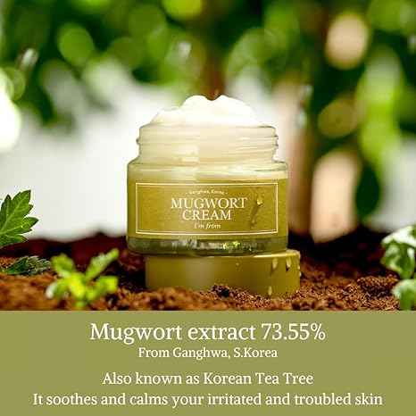 I'M FROM Mugwort Cream, Moisturizer with 73.55% Mugwort Extract, Soothing, Calming, Redness Relief with Sebum control - Koraya Beauty