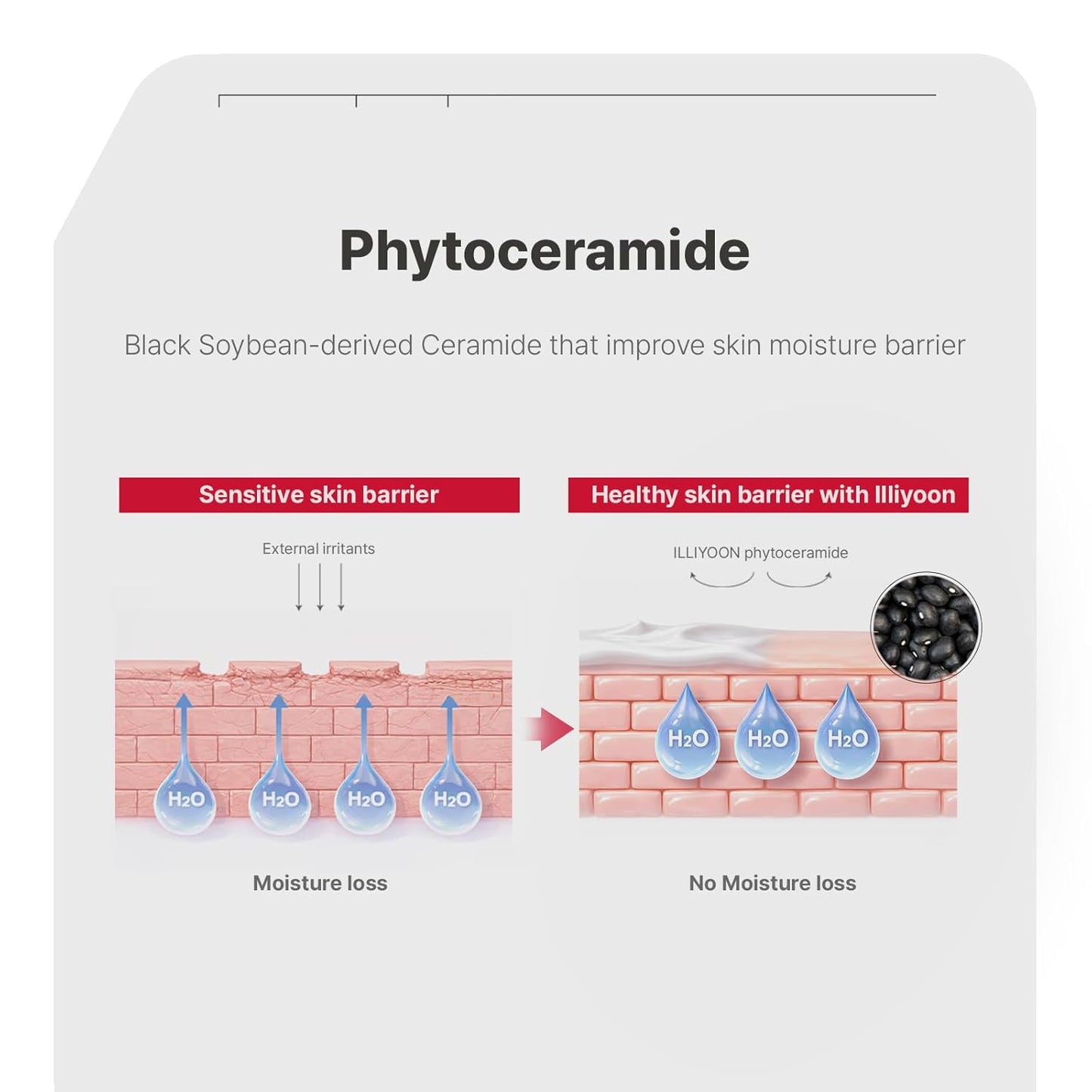 ILLIYOON Ceramide Ato Concentrate Cream, Moisturizer for Dry & Sensitive Skin, 100hr Lasting Hydration