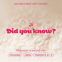 The Face Shop Rice Water Bright Cleanser – image 4