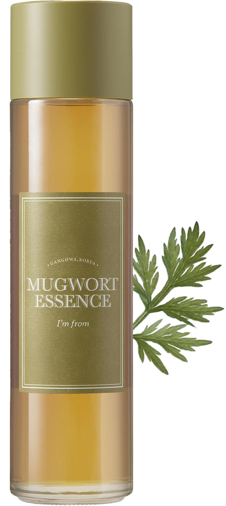 I'M FROM Mugwort Essence, Soothe Sensitive and Irritated Skin, Redness Relief
