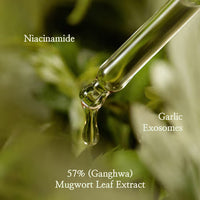 I'm From Mugwort Serum 57% Calming – image 3