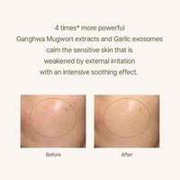 I'm From Mugwort Serum 57% Calming – image 4